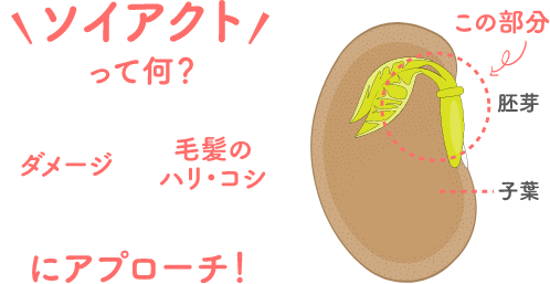 ソイアクト
